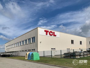 對(duì)話王成 TCL如何在2020年躋身歐洲前三，國(guó)內(nèi)貿(mào)易代理又扮演何種角色？